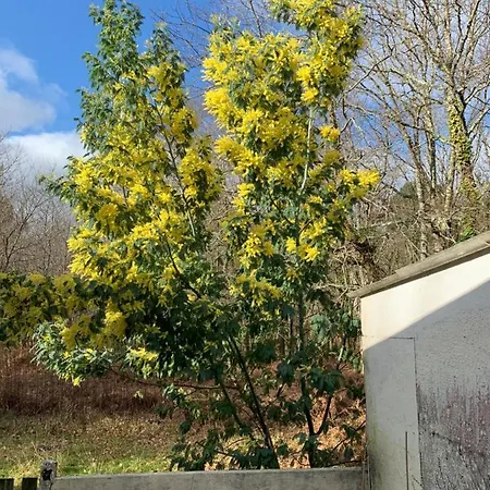 Maison 8 Couchages 度假居 阿雷斯