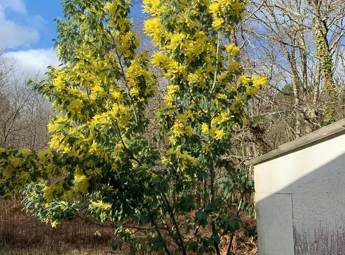 Maison 8 Couchages Semesterbostad Ares